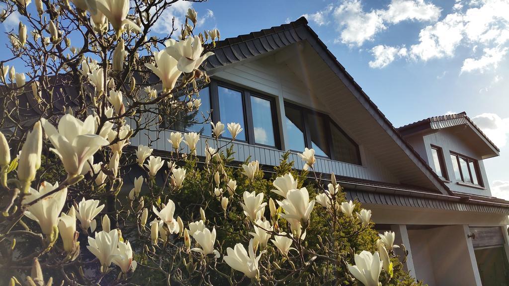 Gaestehaus Sonnenhuegel Mohnesee Bagian luar foto